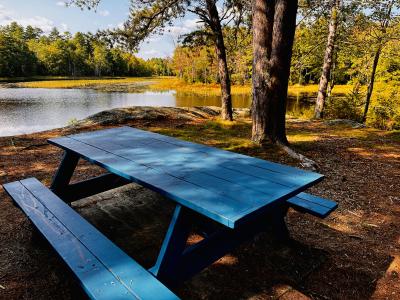 Runaround Pond - Blue Picnic Table